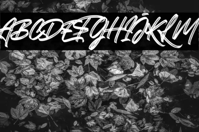 Greatest Richmond Alternate Two Font examples