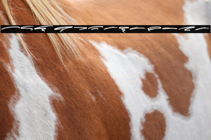 Greatest Richmond Swash Example 2