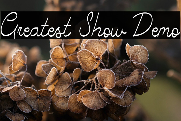 Greatest Show Demo Example 1