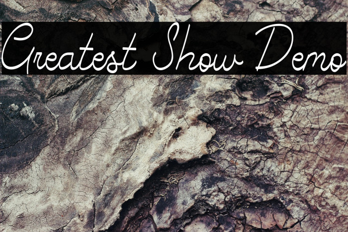 Greatest Show Demo Example 2