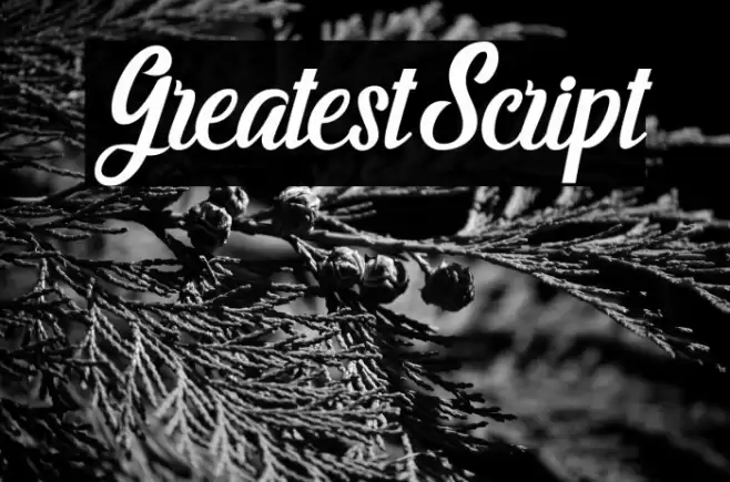 GreatestScript Font examples