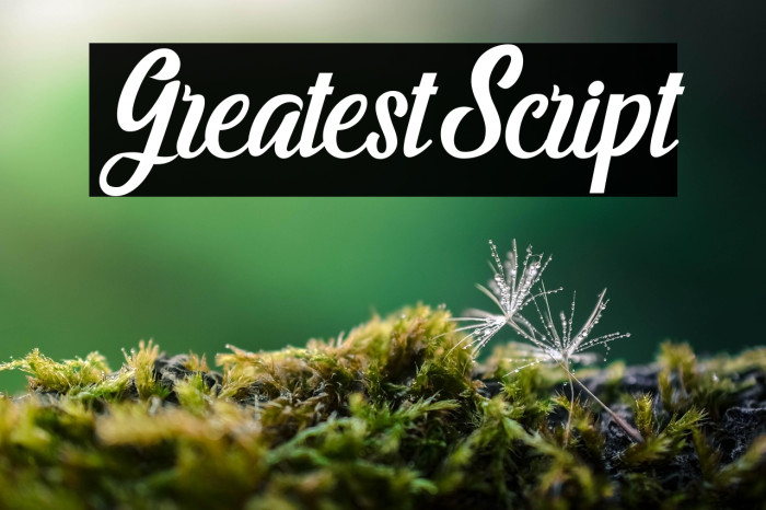 GreatestScript Example 3