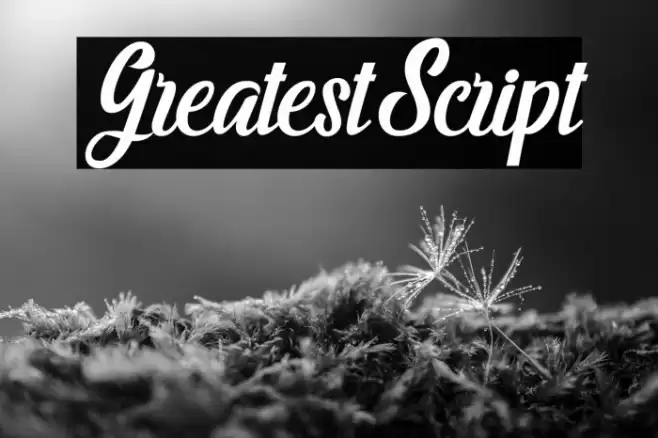 GreatestScript Font examples