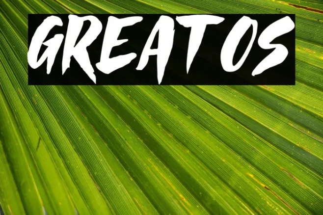 Greatos Example 1