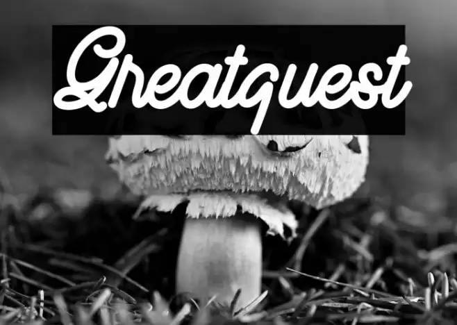 Greatquest Font examples