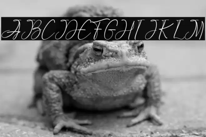 GreattonDemo Font examples