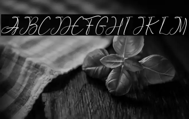 GreattonDemo Font examples