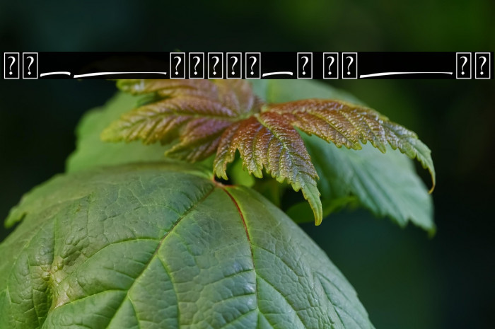 Greatwriten Swash Example 3