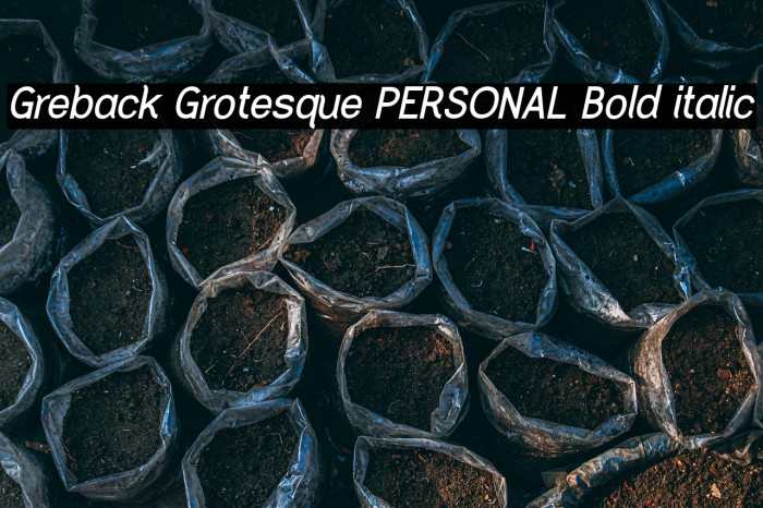Greback Grotesque PERSONAL Bold italic Example 3