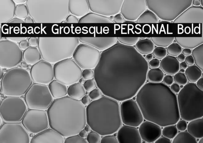 Greback Grotesque PERSONAL Bold Font examples