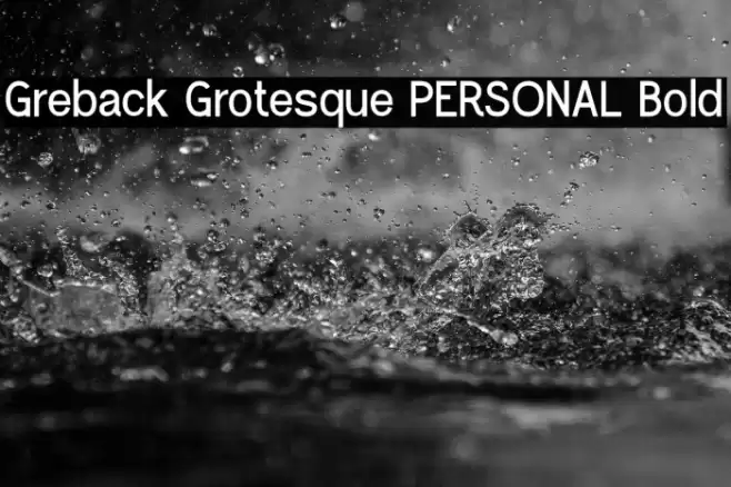 Greback Grotesque PERSONAL Bold Font examples