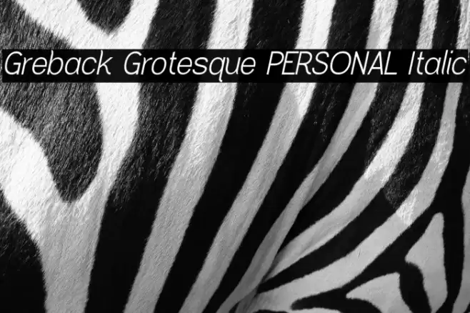 Greback Grotesque PERSONAL Italic Font examples