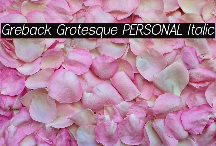 Greback Grotesque PERSONAL Italic Example 3