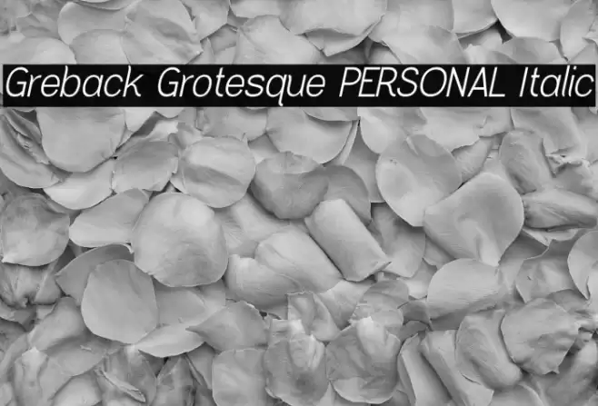 Greback Grotesque PERSONAL Italic Font examples