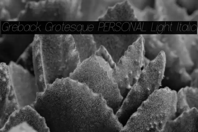 Greback Grotesque PERSONAL Light Italic Font examples