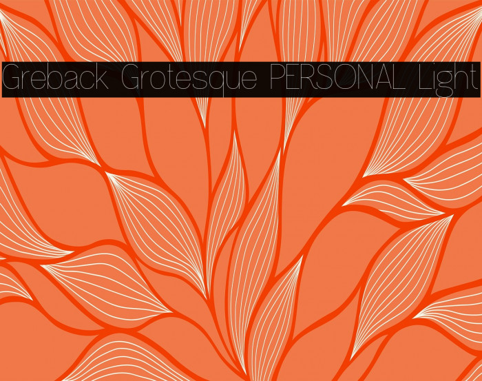 Greback Grotesque PERSONAL Light Example 1