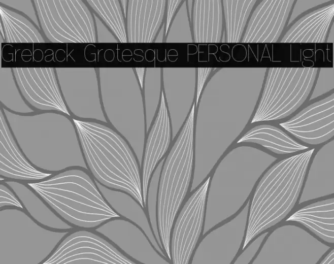 Greback Grotesque PERSONAL Light Font examples
