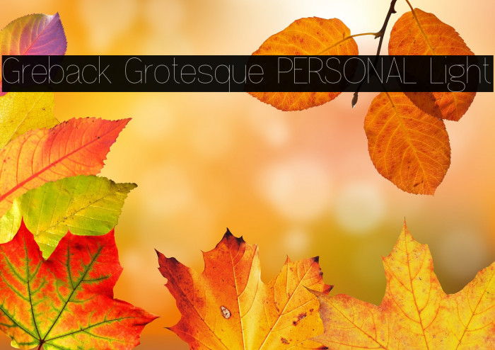 Greback Grotesque PERSONAL Light Example 2