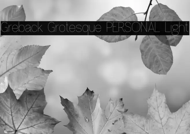 Greback Grotesque PERSONAL Light Font examples