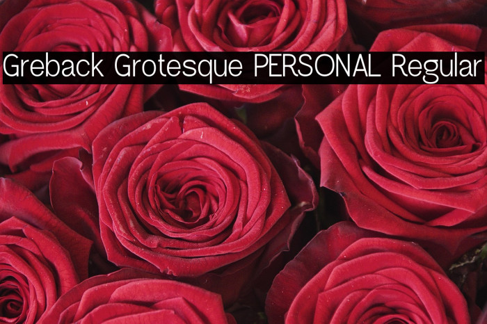 Greback Grotesque PERSONAL Regular Example 2