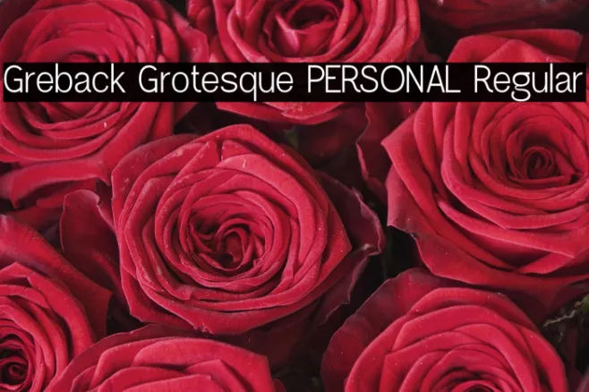 Greback Grotesque PERSONAL Regular Example 2