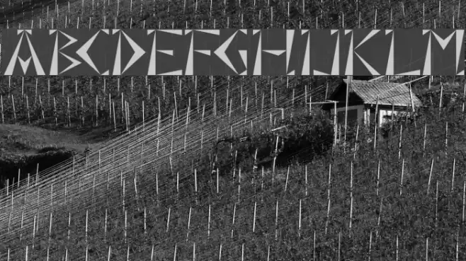 Grecques Tryout Font examples