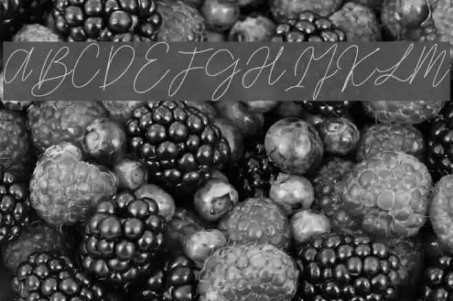 GredomMonoline Font examples