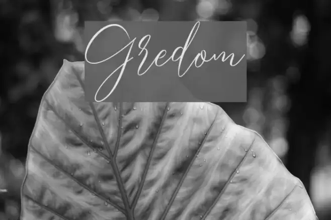 Gredom Font examples
