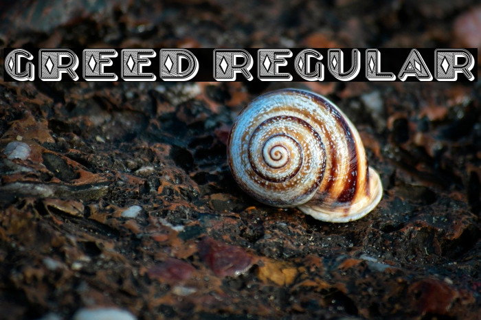 Greed Regular Example 1