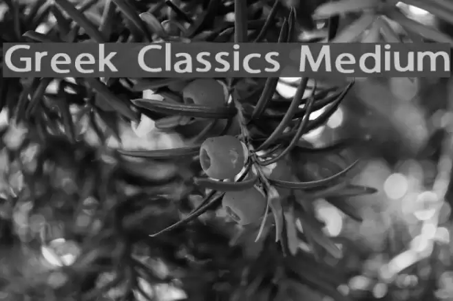 Greek Classics Medium Font examples