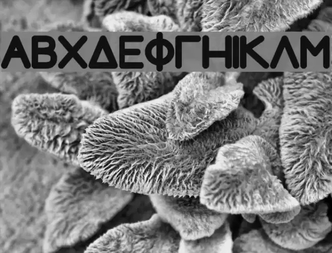 Greek House Fathouse Font examples