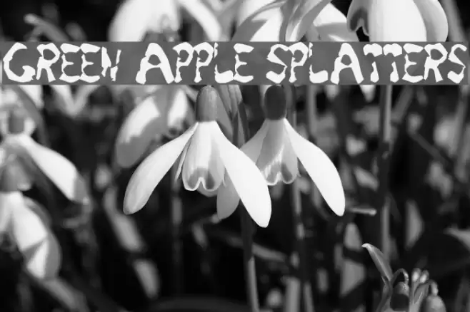 Green Apple Splatters Font examples