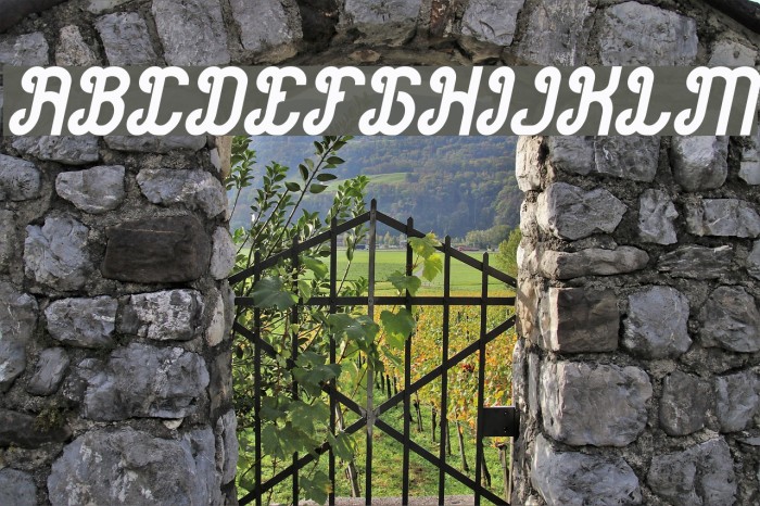 Green Avocado Bold Italic Example 1