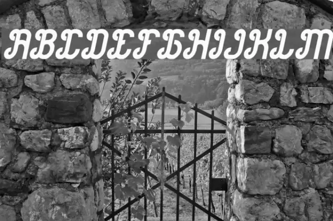 Green Avocado Bold Italic Font examples