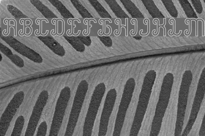 Green Avocado-Hollow Font examples