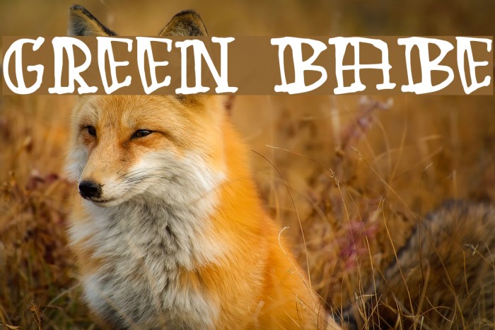 Green Babe Font examples