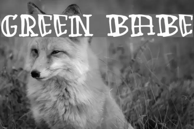 Green Babe Font examples