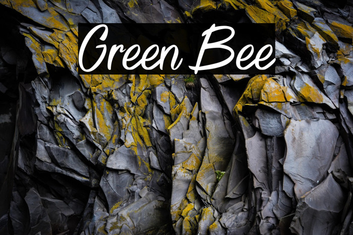 Green Bee Example 3