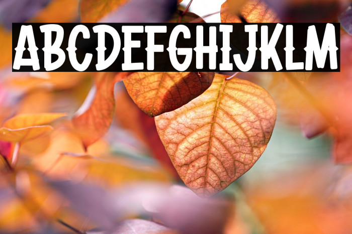 Green Berry Example 2