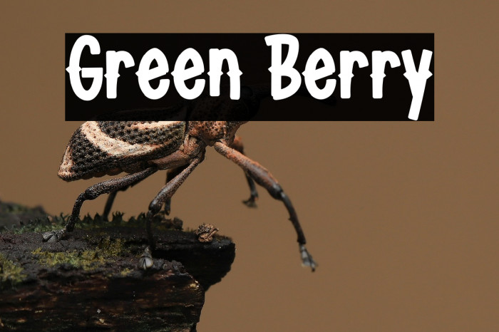 Green Berry Example 1
