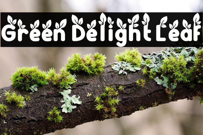 Green Delight Leaf Example 1