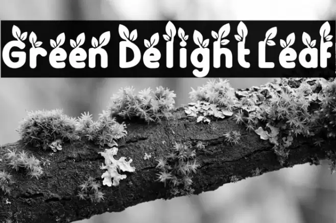 Green Delight Leaf خط examples