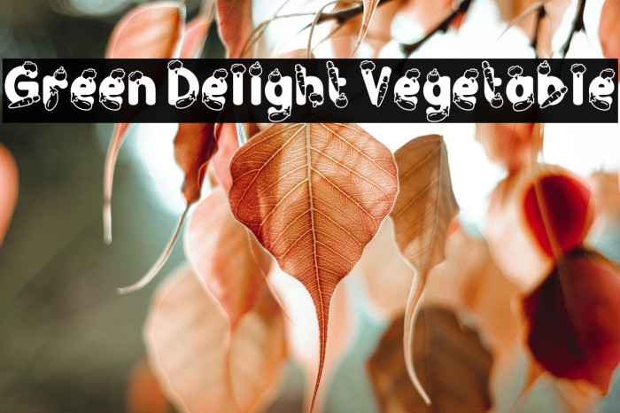 Green Delight Vegetable Example 2