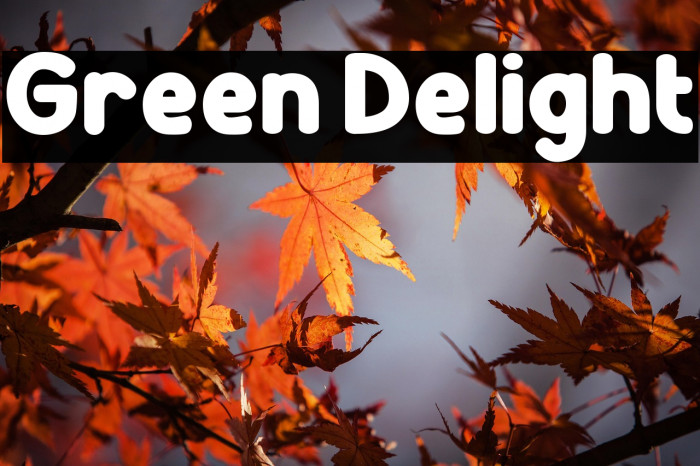 Green Delight Example 1