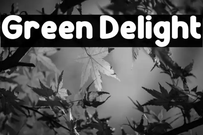 Green Delight Schriftart examples