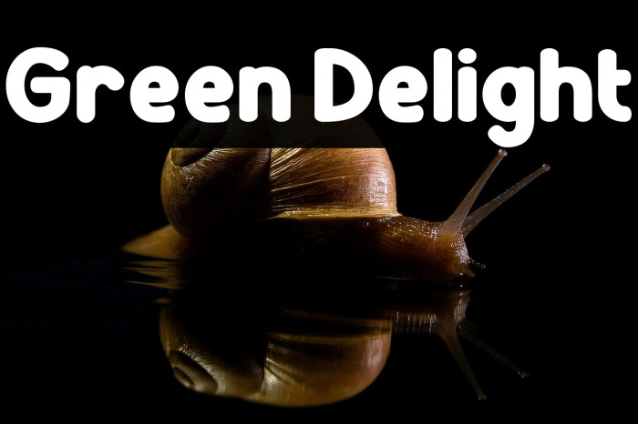 Green Delight Example 3