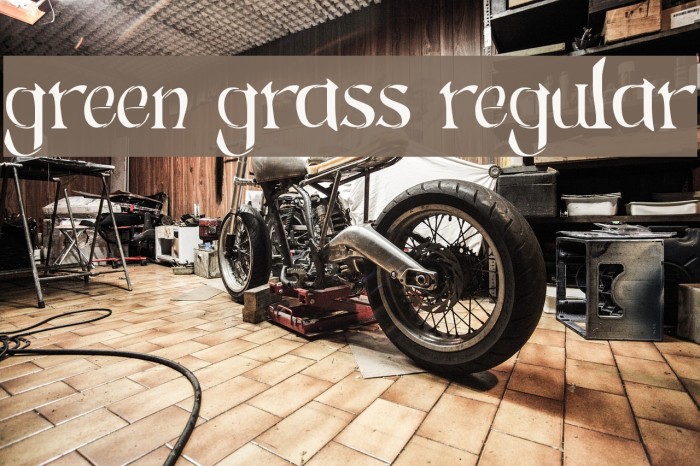 Green Grass Regular Font examples
