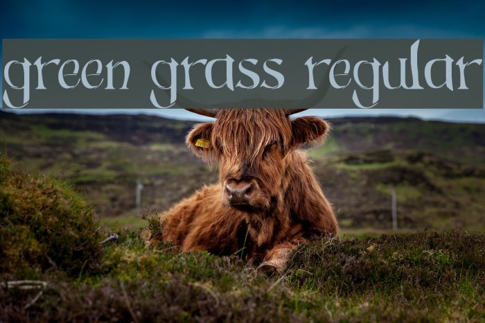 Green Grass Regular Font examples