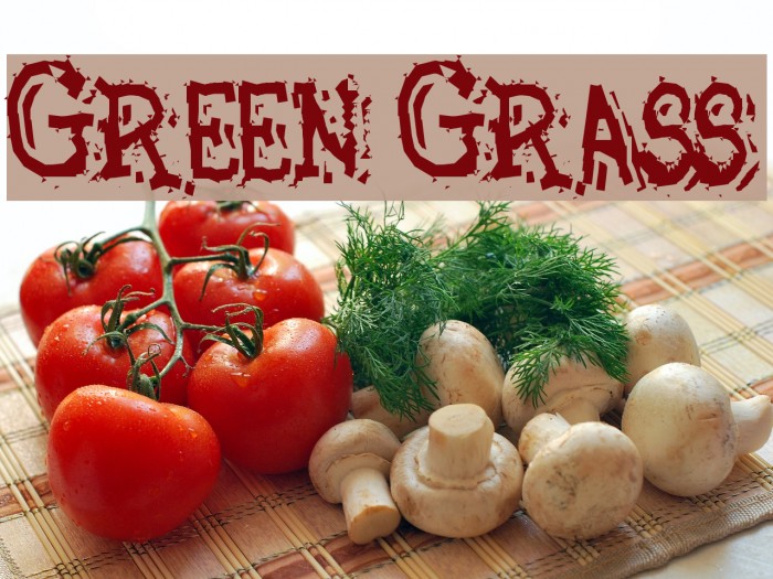 Green Grass Font examples