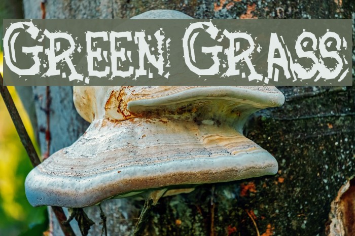 Green Grass Font examples